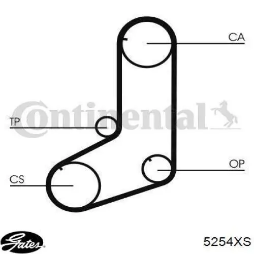 5254XS Gates Correa dentada