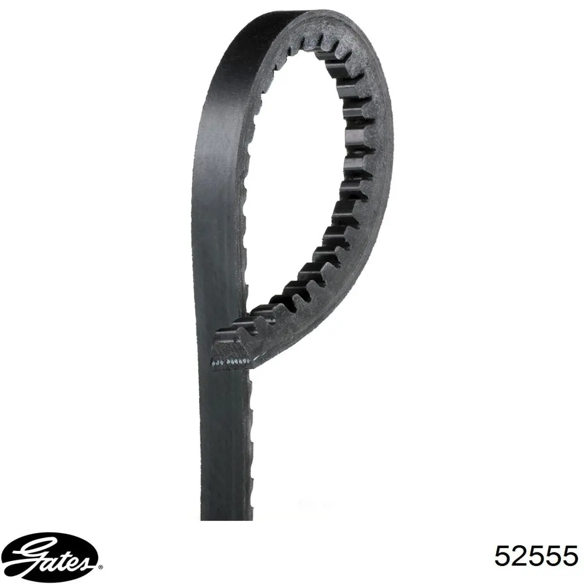 Manguera inferior del radiador General Motors 13191210 precio, desde 30,69 EUR