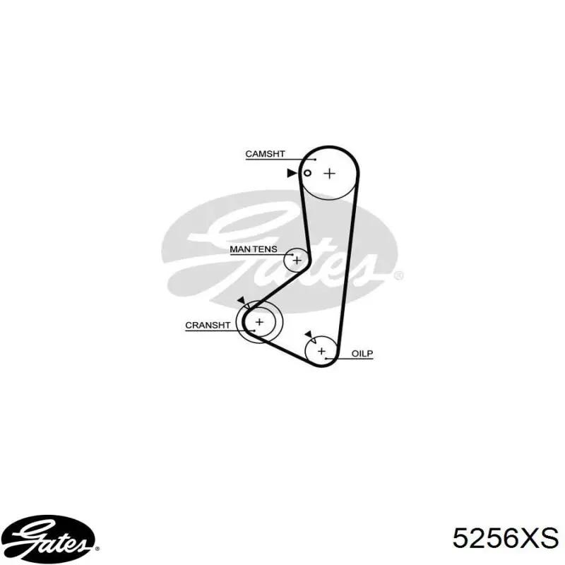 5256XS Gates correa distribución