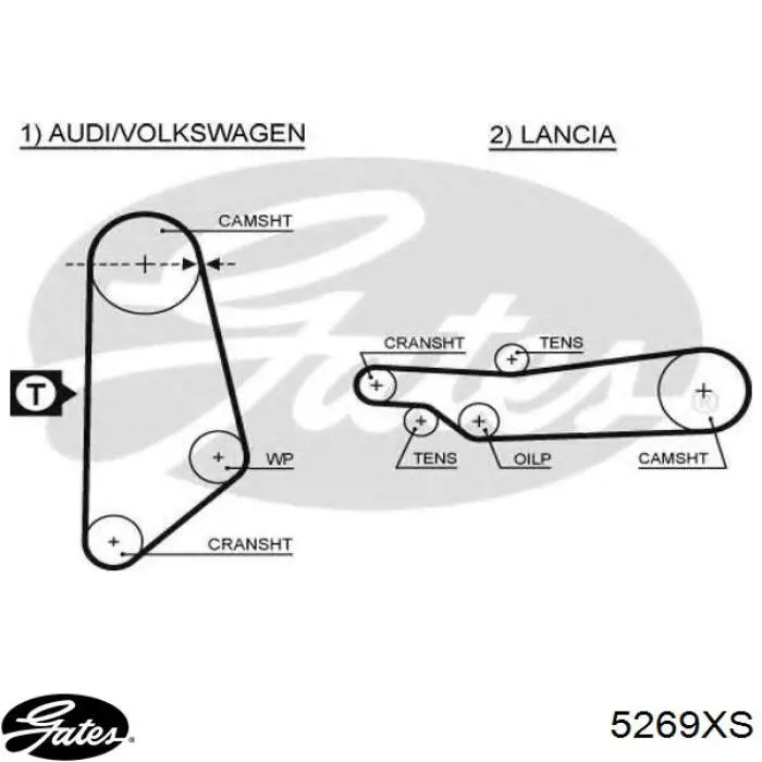 5269XS Gates Correa dentada