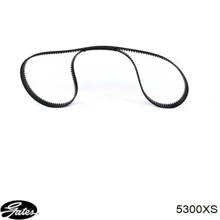 Comprar 5300XS Gates Correa distribución