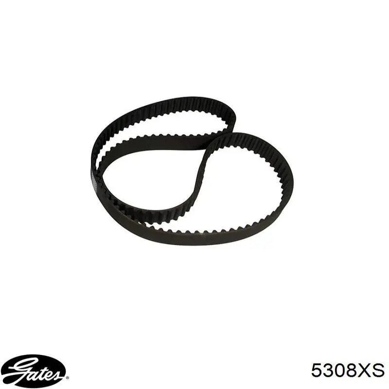 Comprar 5308XS Gates Correa distribución