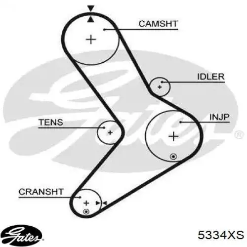 FT41521 Fast Correa dentada