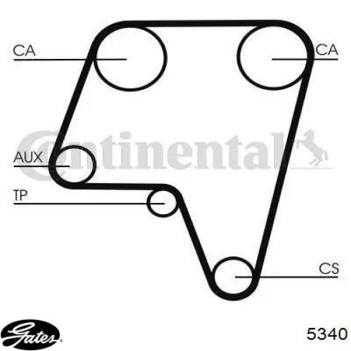 Correa de distribución Dayco 94411 precio, desde 21,84 EUR