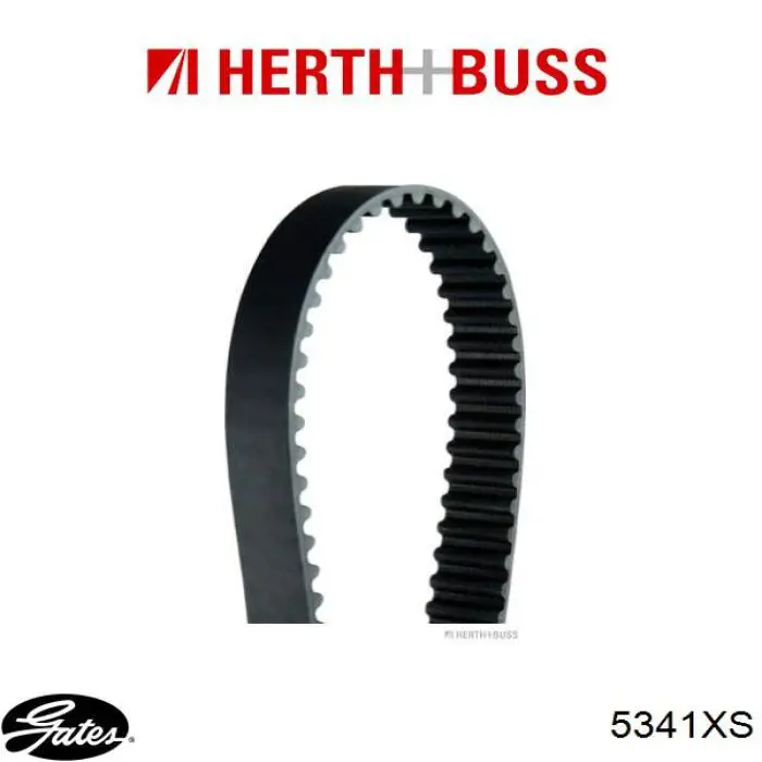 5341XS Gates Correa dentada