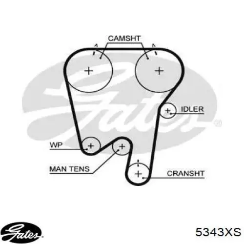 5343XS Gates correa distribucion