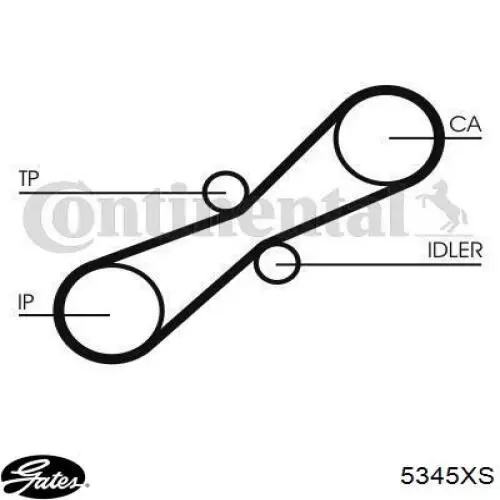 Comprar 5345XS Gates Correa de la bomba de inyección