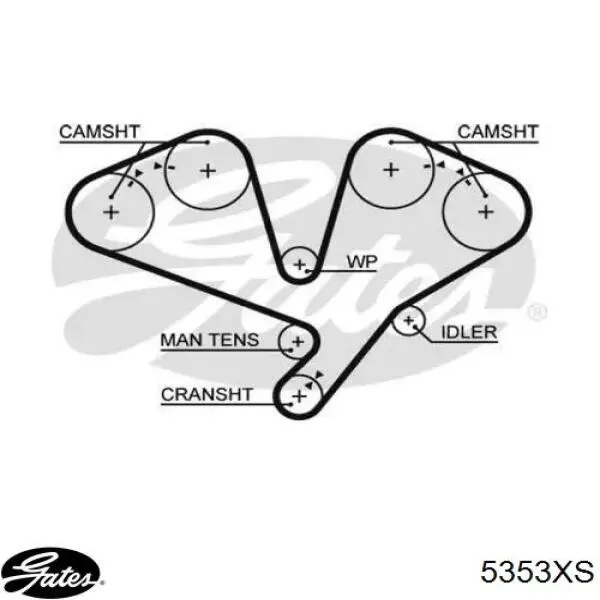 5353XS Gates Correa dentada