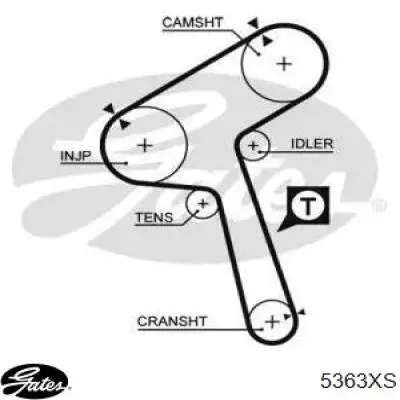 5363XS Gates Correa dentada
