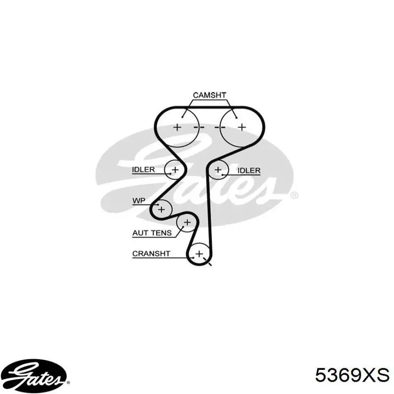 Comprar 5369XS Gates Correa distribución
