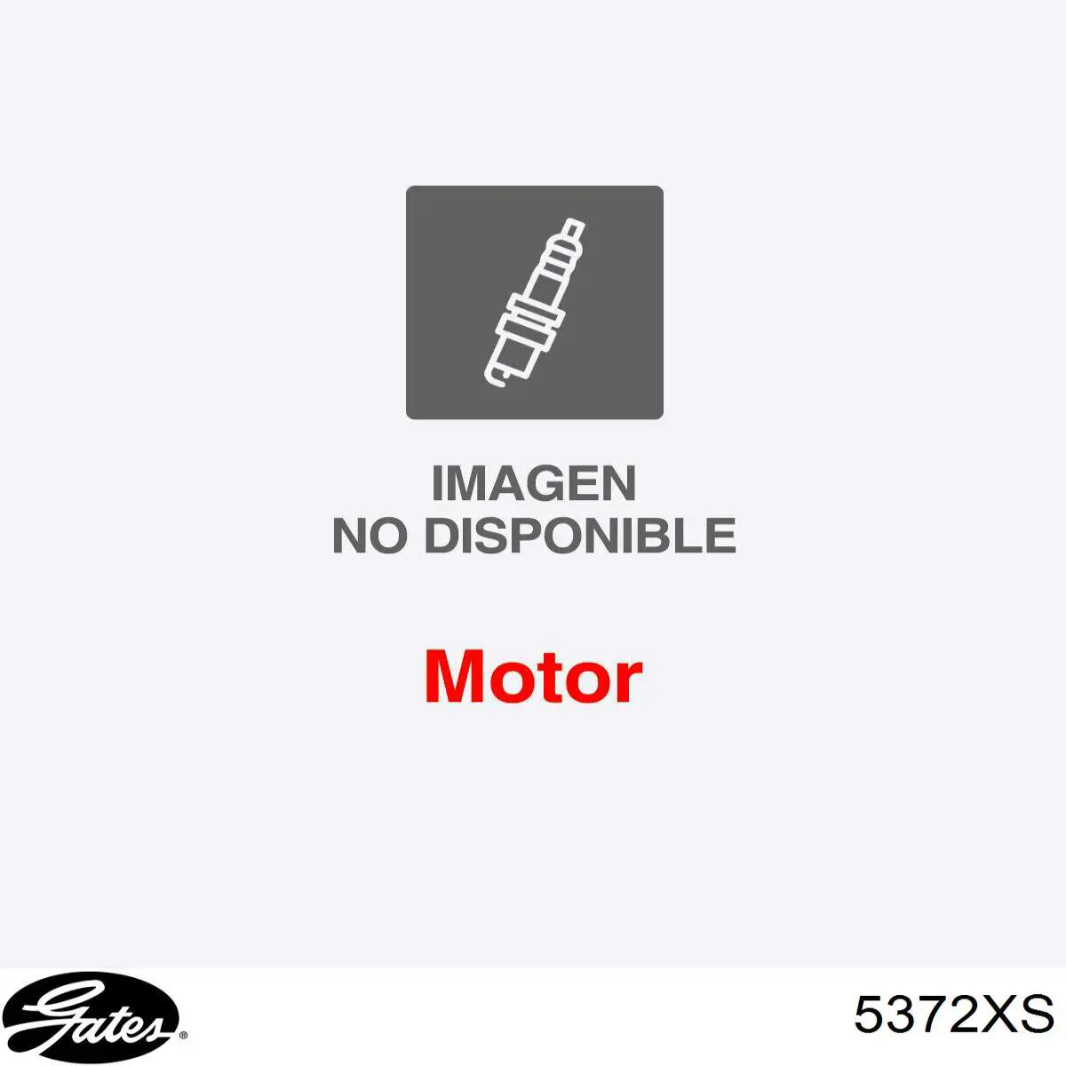 2431232560 Hyundai/Kia Correa dentada