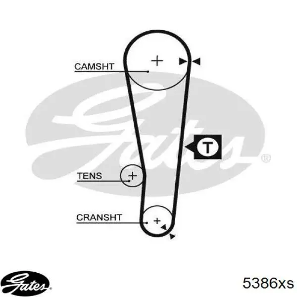 Correa distribucion GATES 5386XS