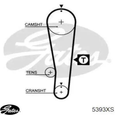 Correa de distribución Mitsuboshi 89XR25 precio, desde 24,59 EUR