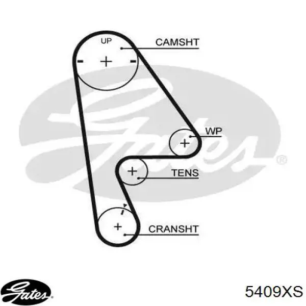 Correa de distribución Gates 5409XS precio, desde 22,93 EUR