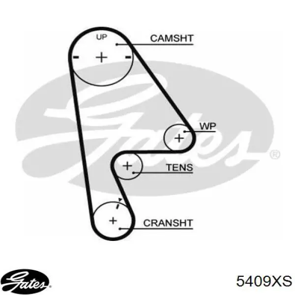 Comprar 5409XS Gates Correa distribución