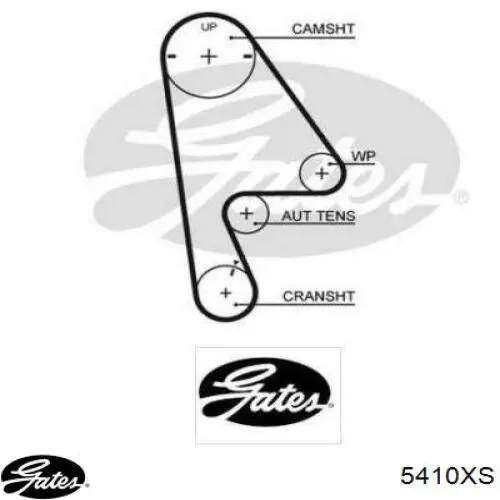 Comprar 5410XS Gates Correa distribución