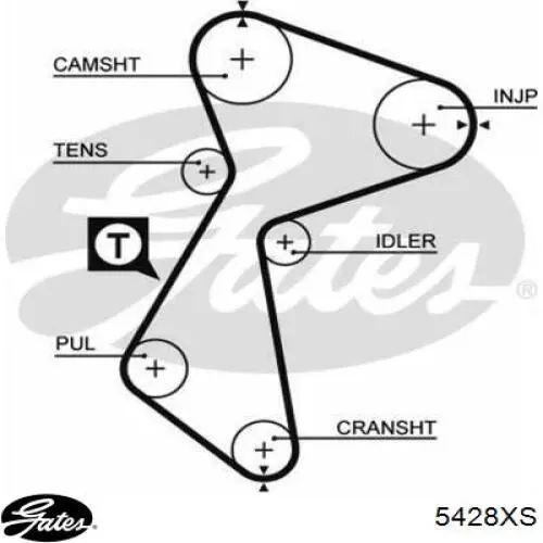 Correa distribucion Skoda Felicia 1 791, 6U1