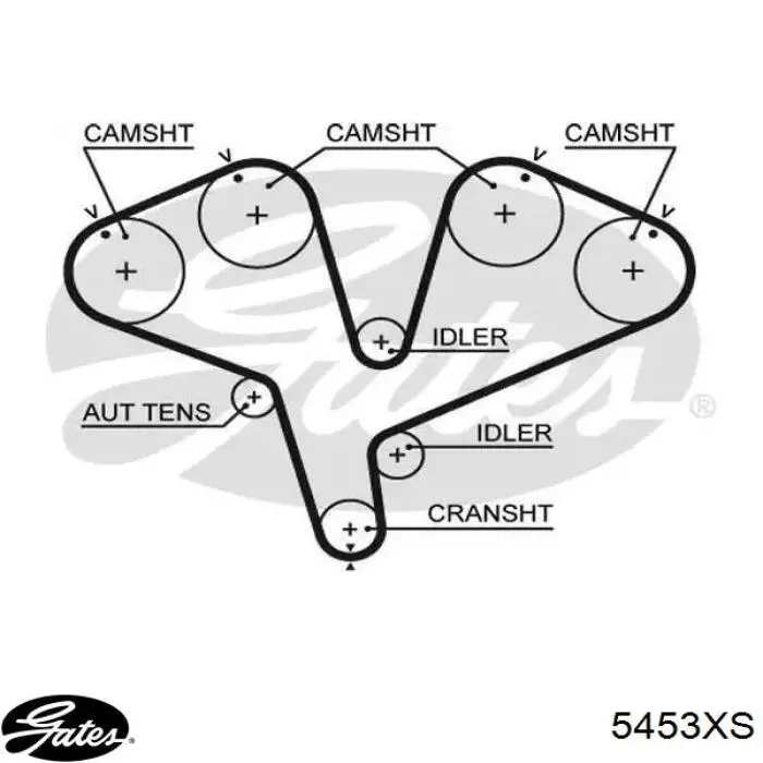 5453XS Gates Correa dentada