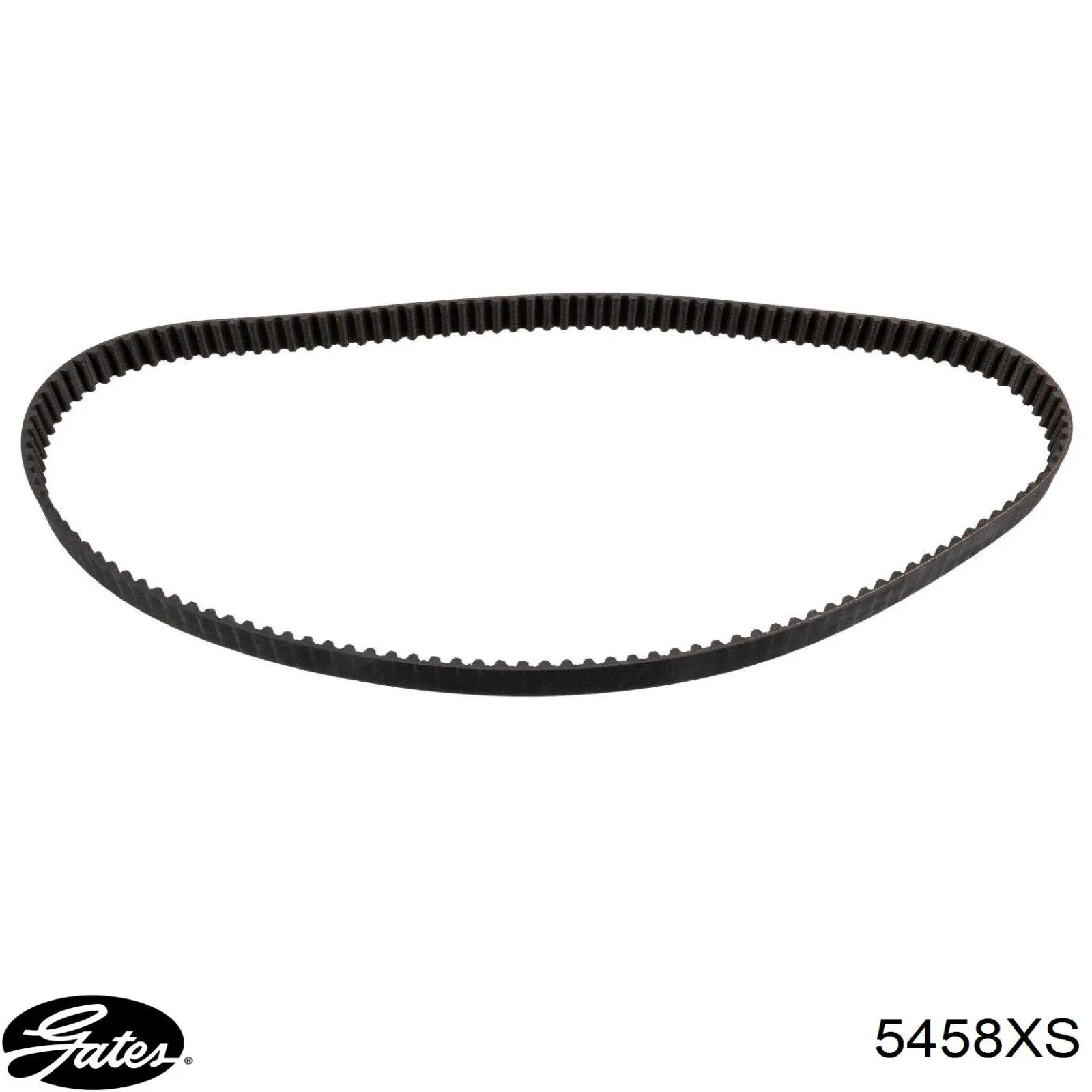 Correa de distribución Peugeot/Citroen 816H7 precio, desde 25,05 EUR