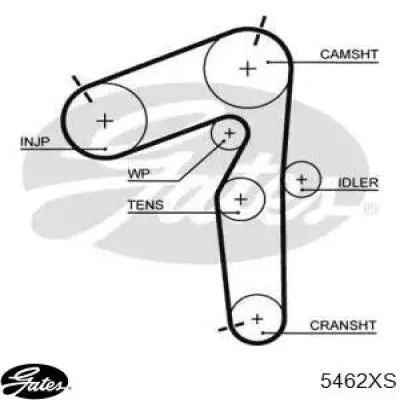 5462XS Gates Correa dentada