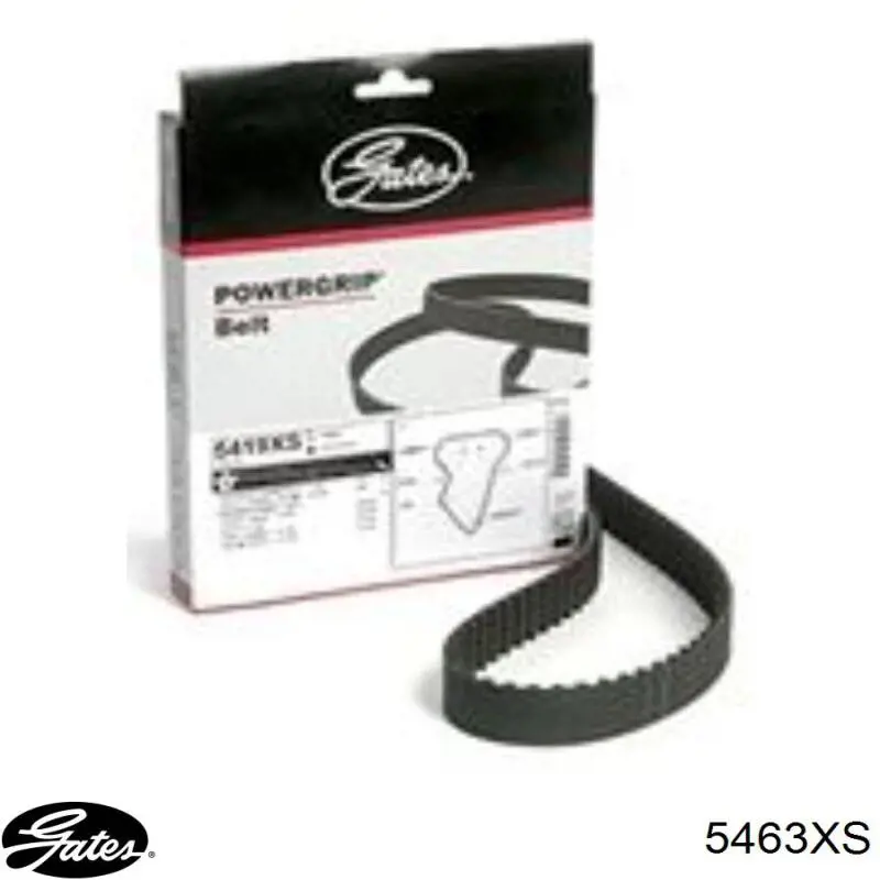 Correa de distribución Continental/Siemens CT925 precio, desde 61,56 EUR