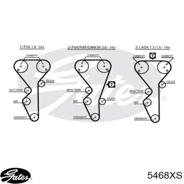5468XS Gates Correa dentada