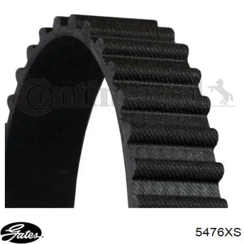 60674528 Fiat/Alfa/Lancia Correa dentada