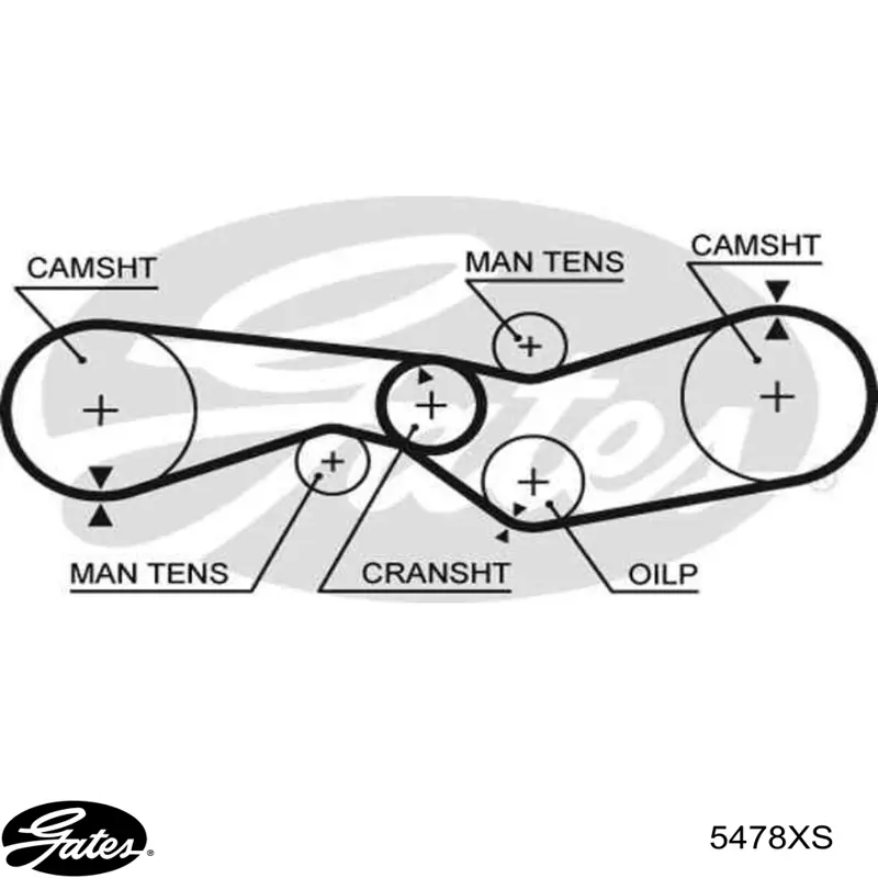 Comprar 3593430 Ford Correa distribución