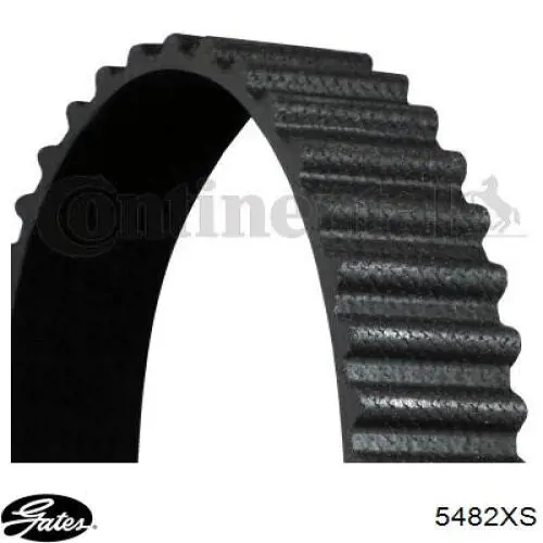 Correa de distribución Continental/Siemens CT1103 precio, desde 59,36 EUR