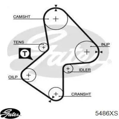 5486XS Gates Correa dentada