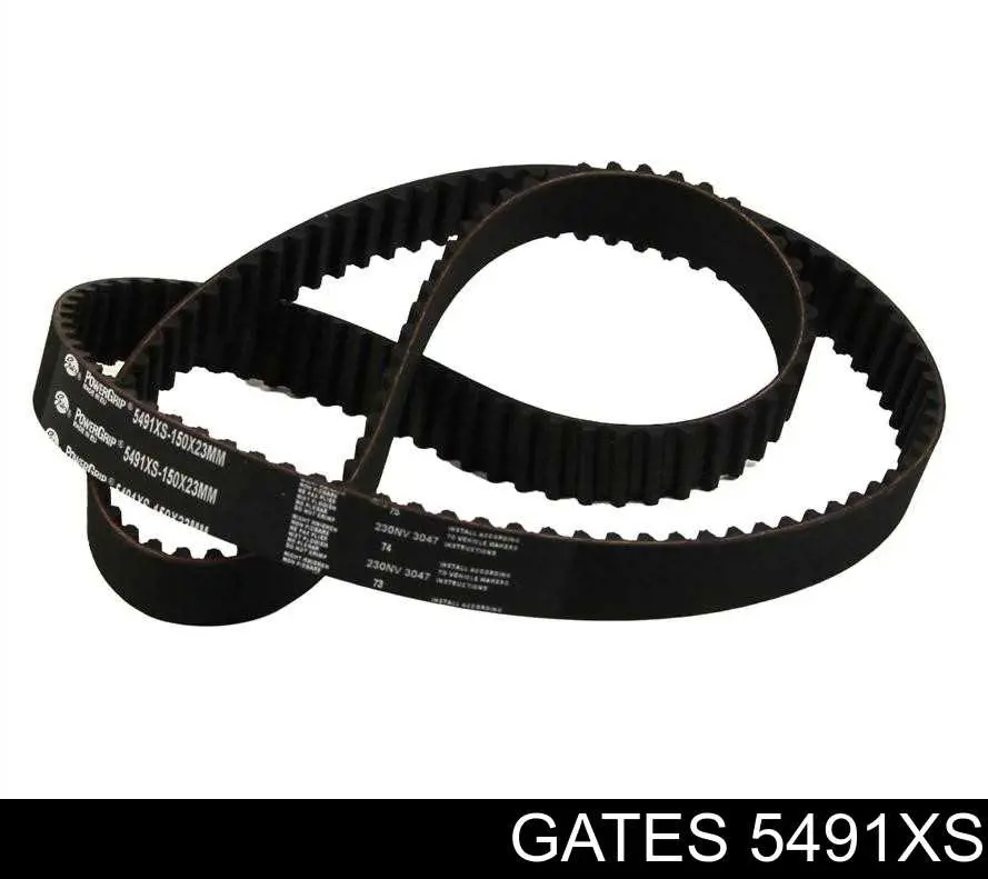 Comprar 5491XS Gates Correa distribución