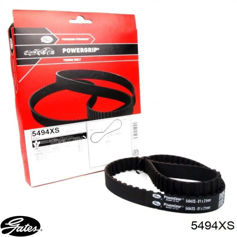 Comprar 5494XS Gates Correa de la bomba de inyección