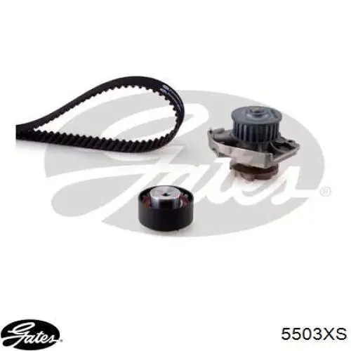 Correa de distribución Gates 5503XS precio, desde 33,81 EUR