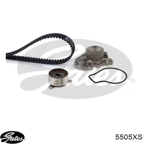 Comprar 5505XS Gates Correa distribución