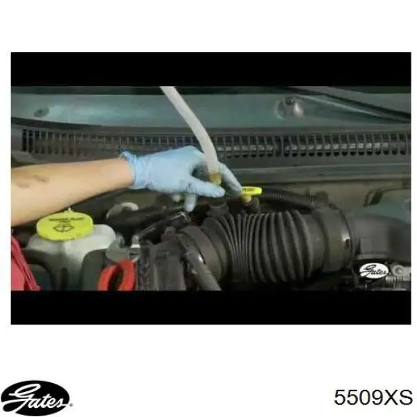 Correa de distribución Volvo 274338