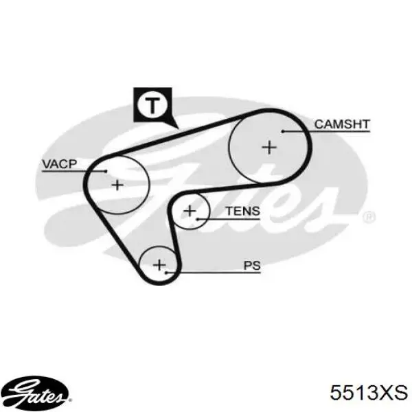 Correa de alternador CT980 Continental/Siemens