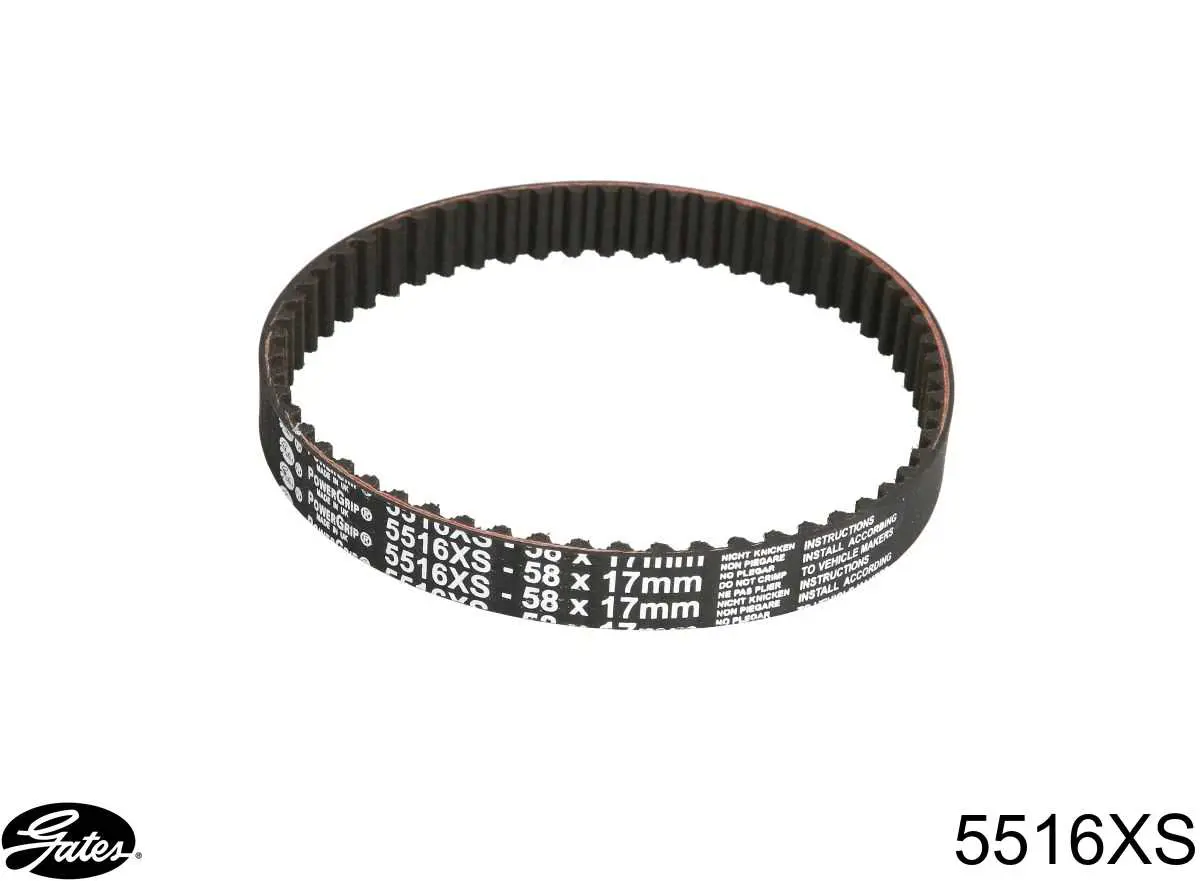 5516XS Gates Correa dentada
