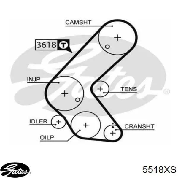 5518XS Gates Correa dentada