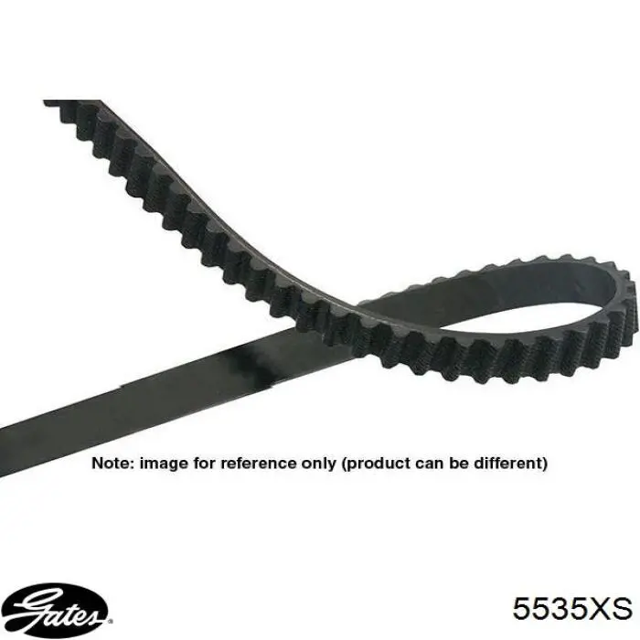 26850 Febi Correa dentada