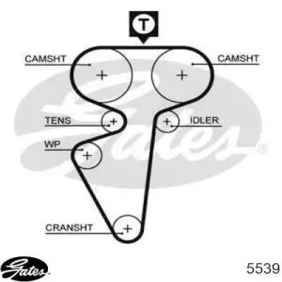 5539 Gates correa distribucion