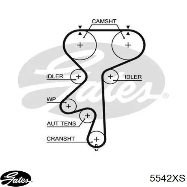 Comprar 90531857 Opel Correa distribución