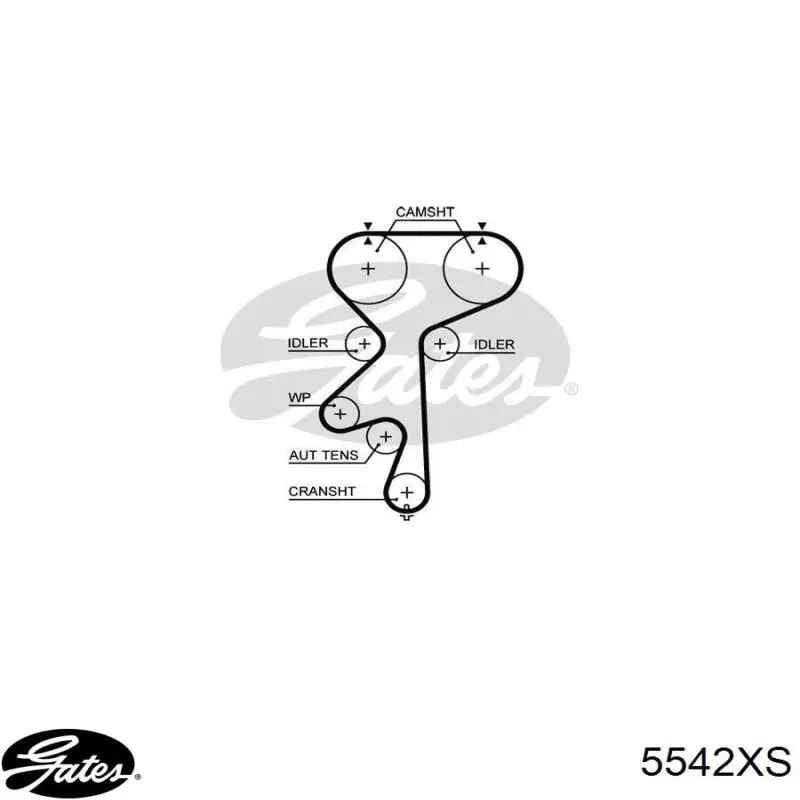 Correa distribución 90531857 Opel