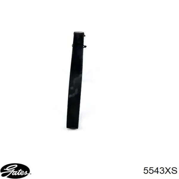 Comprar 5543XS Gates Correa distribución