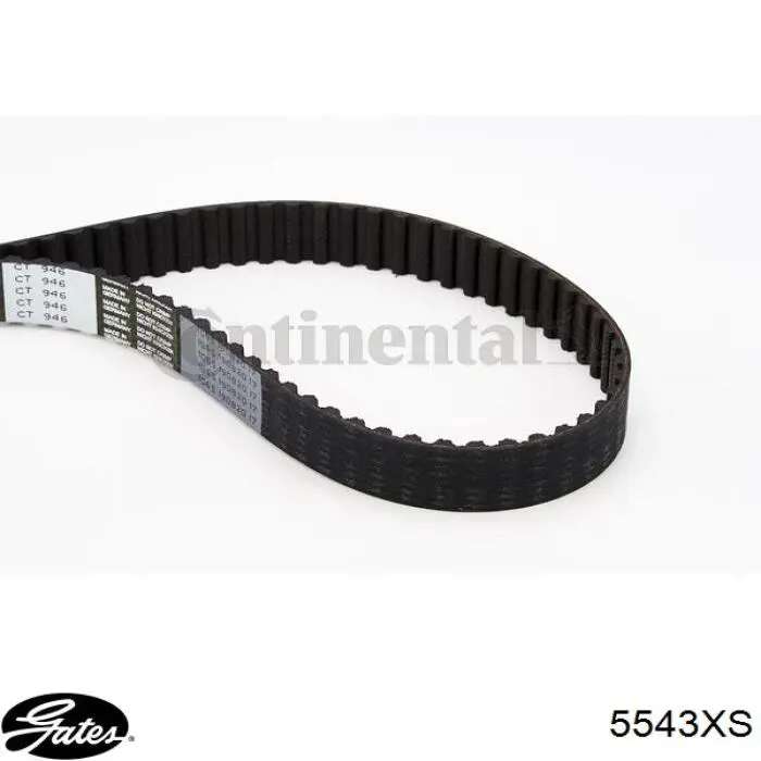 Comprar 941038 Dayco Correa distribución