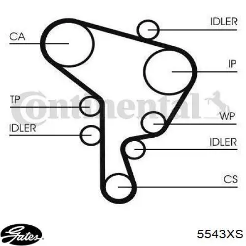 5543XS Gates Correa dentada