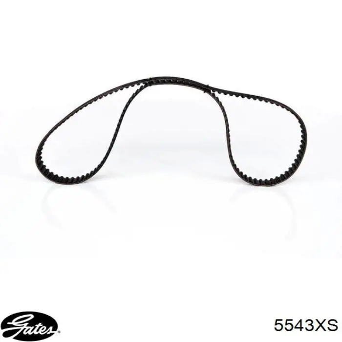 Correa de distribución Gates 5543XS precio, desde 64,82 EUR