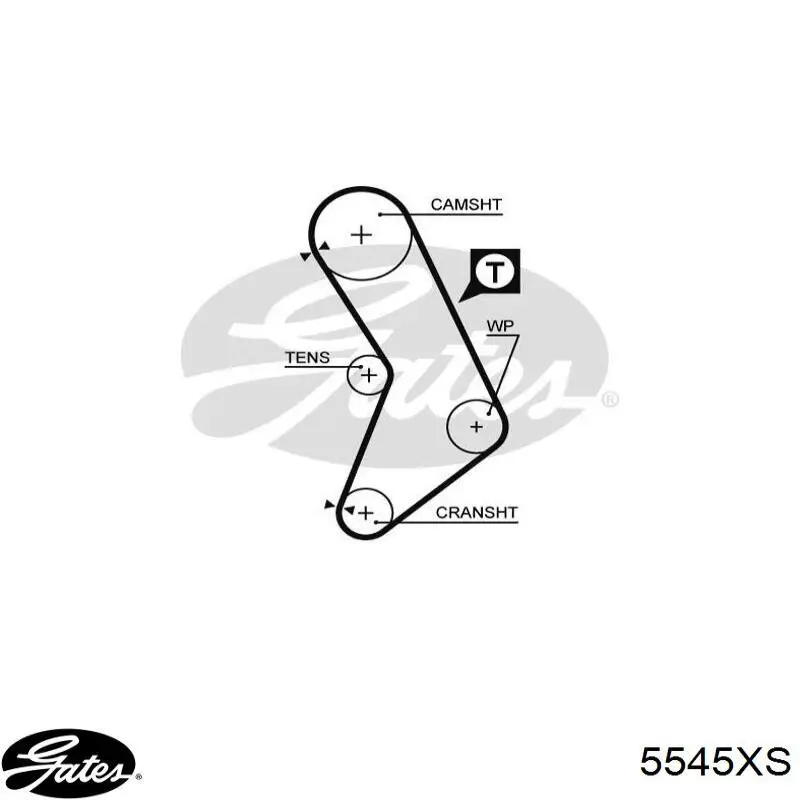 Comprar 5545XS Gates Correa distribución