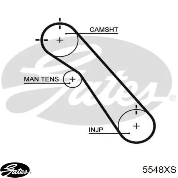 5548XS Gates correa distribución