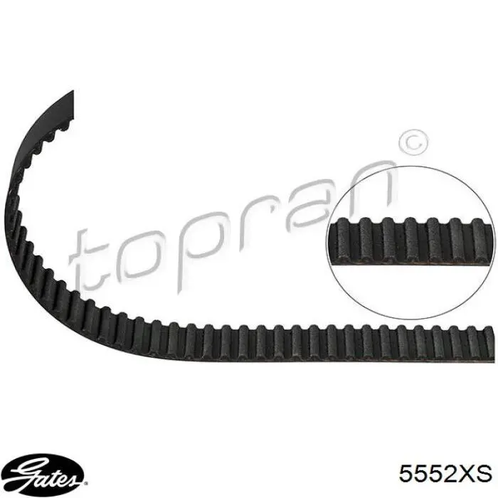 Correa de distribución Gates 5552XS precio, desde 30,90 EUR