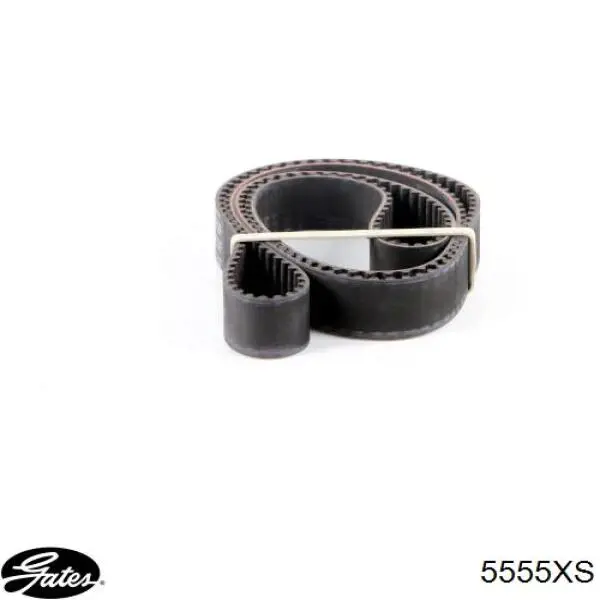 5555XS Gates Correa dentada